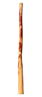 Gloss Finish Bloodwood Didgeridoo (TW1611)